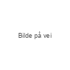 Antrasit